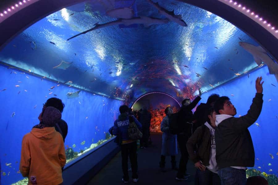 Osaka Kaiyukan Aquarium