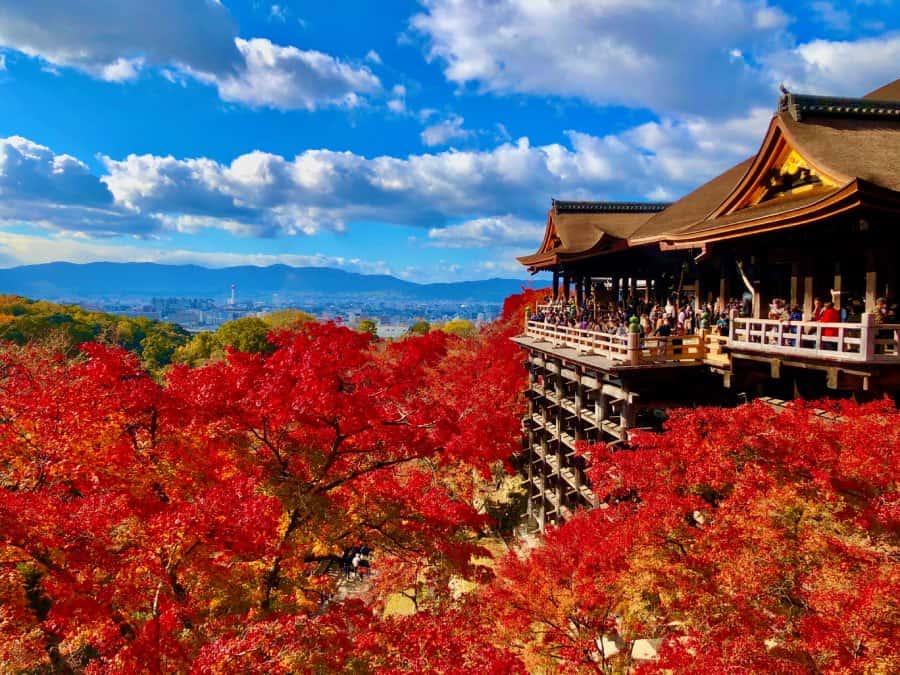 Is Kyoto worth visiting? The Pros and Cons of Visiting Kyoto