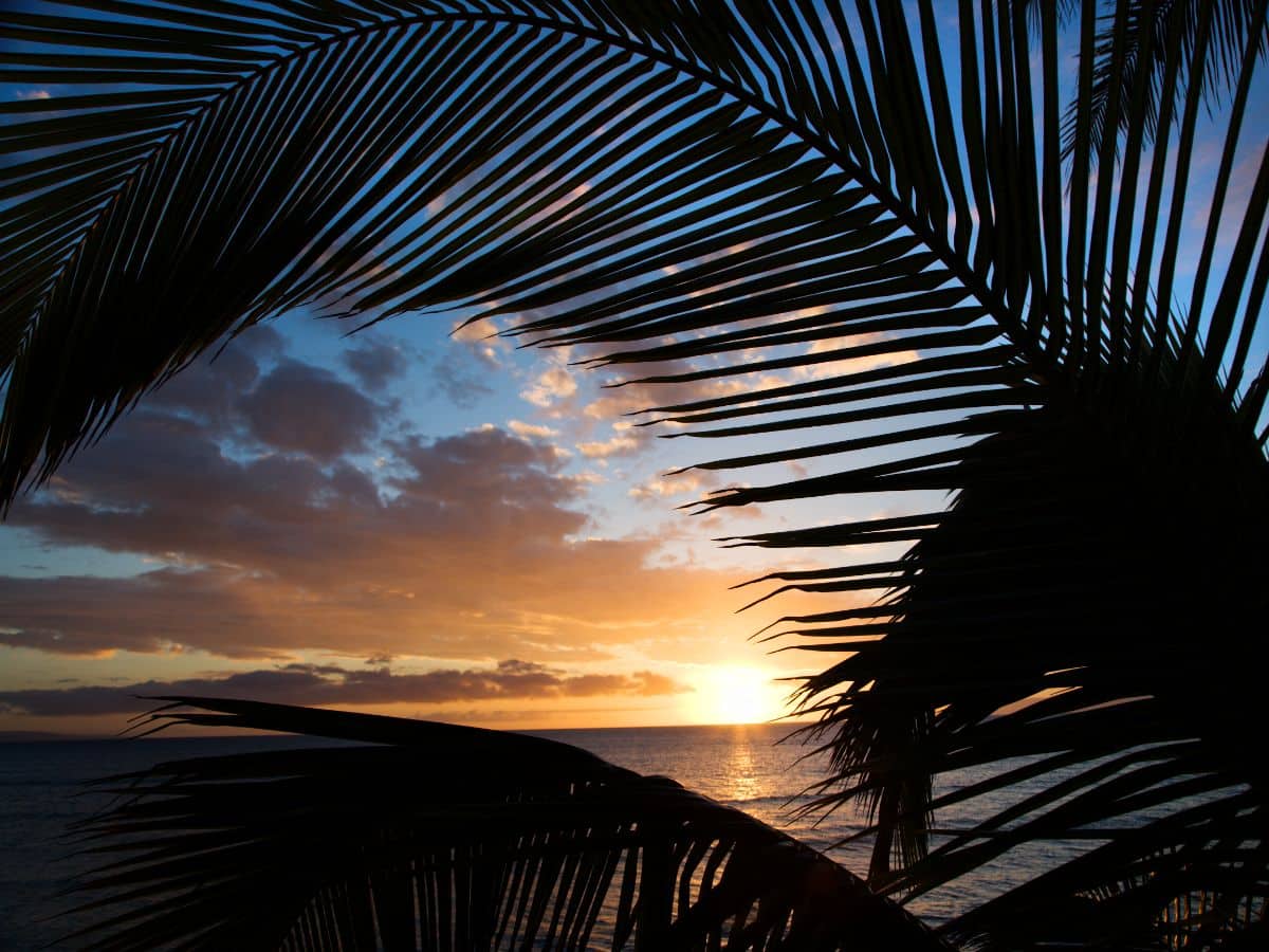 12 Cool Things To Do In Kihei Maui