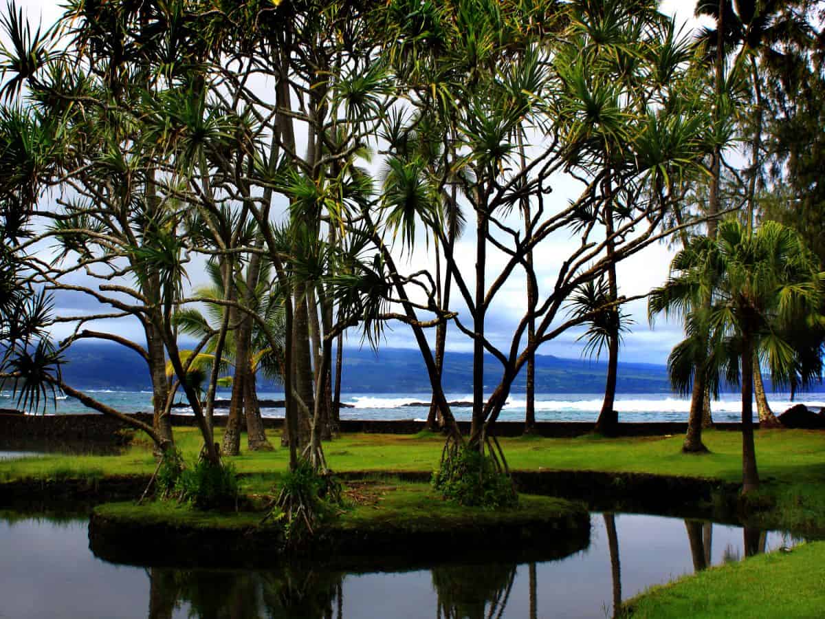 12 Things You Can Do in Hilo, Hawaii