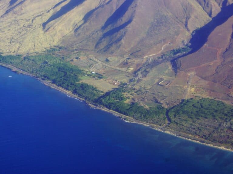 15 Things You Should Do In Lahaina If You Ever Visit