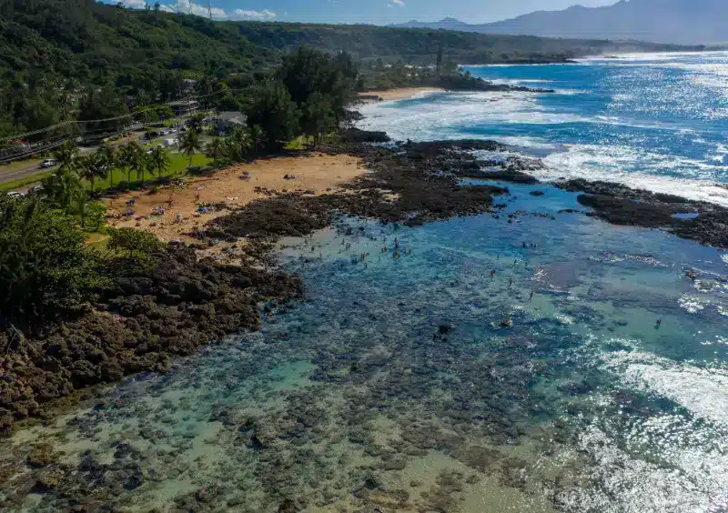 Go Snorkeling for Free in Oahu