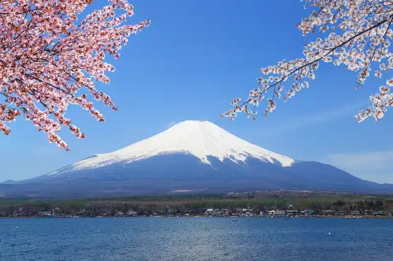 Optimal Period To Observe Mount Fuji