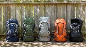 top child carriers 2024