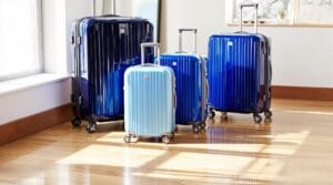 top family travel luggage