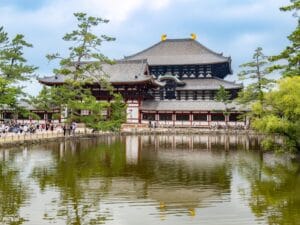 5 Must-See Attractions for a Nara Day Trip From Kyoto