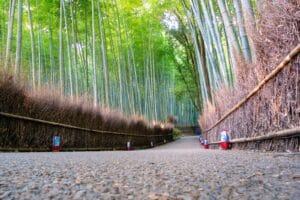 5 Must-See Attractions in Arashiyama