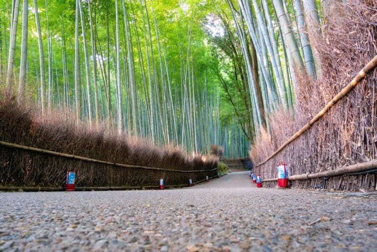 5 Must-See Attractions in Arashiyama