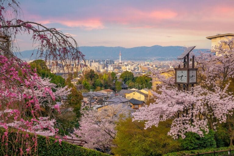 6 Must-Visit Kyoto Sakura Spots for Stunning Cherry Blossoms