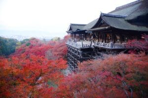 7 Must-See Spots for Kyoto Fall Foliage