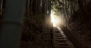 A Guide to 10 Must-Explore Hiking Trails in Japan