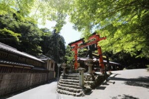 Complete Guide to Experience Kyoto in 3 Days
