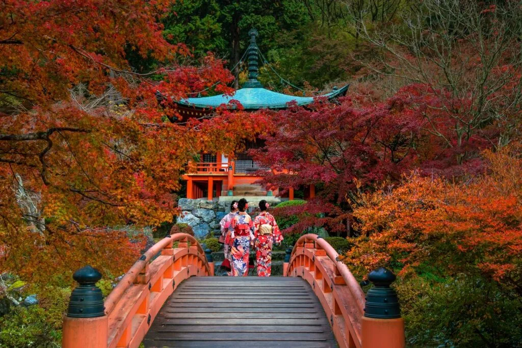 Explore Kyoto by Foot