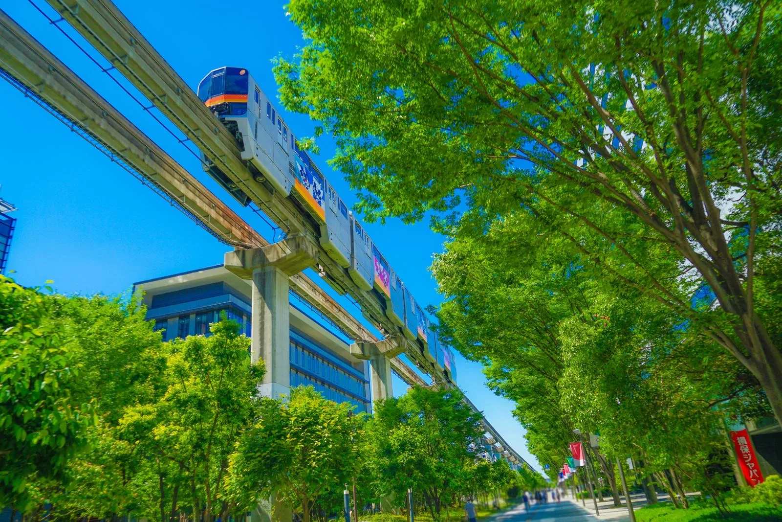 Guide to Traveling the Kanto Region: 7 Essential Tips