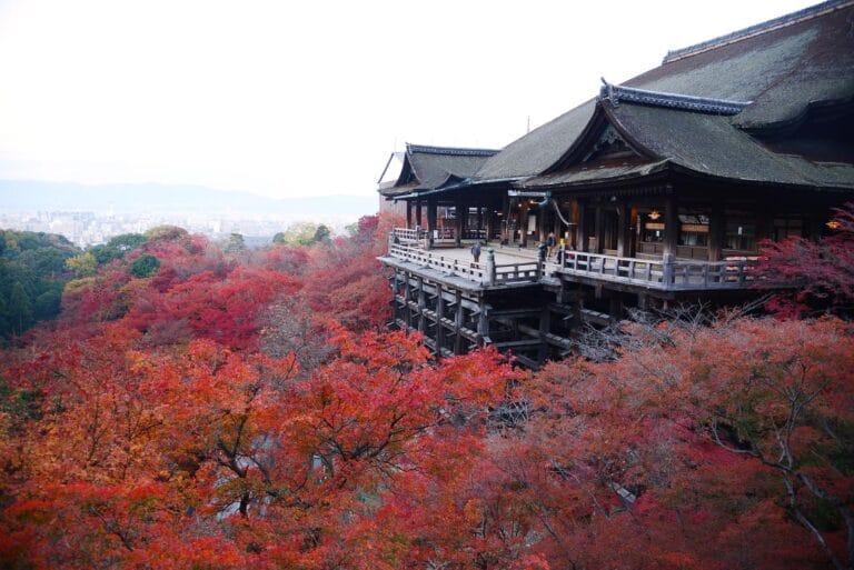Japan Fall Foliage Adventure: Complete Guide