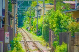 3 Easy Steps to Reach Kamakura From Tokyo