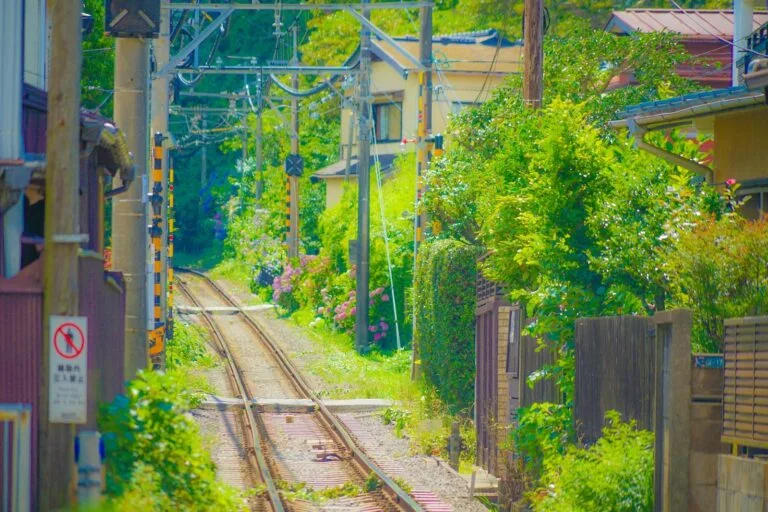 3 Easy Steps to Reach Kamakura From Tokyo