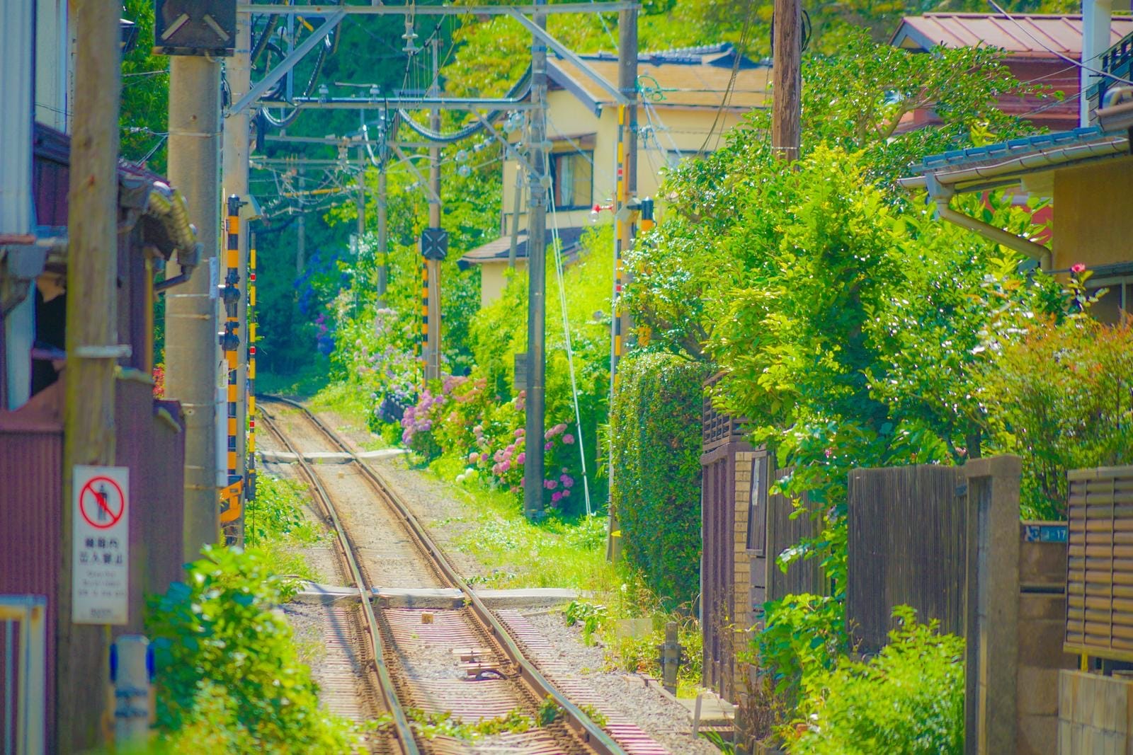 3 Easy Steps to Reach Kamakura From Tokyo