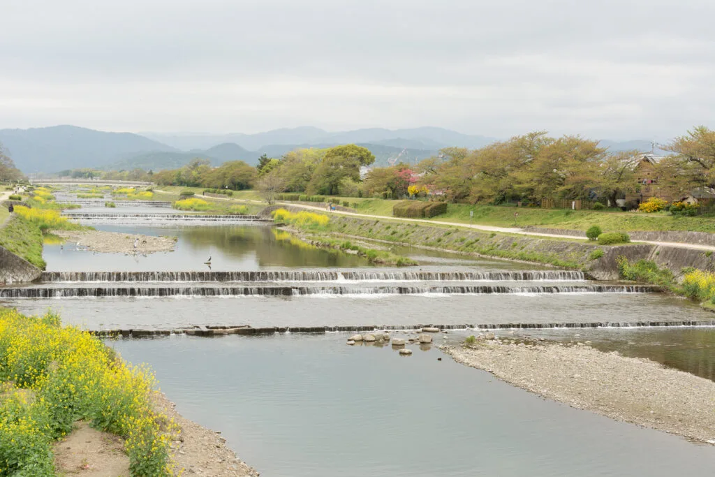 Kamogawa River