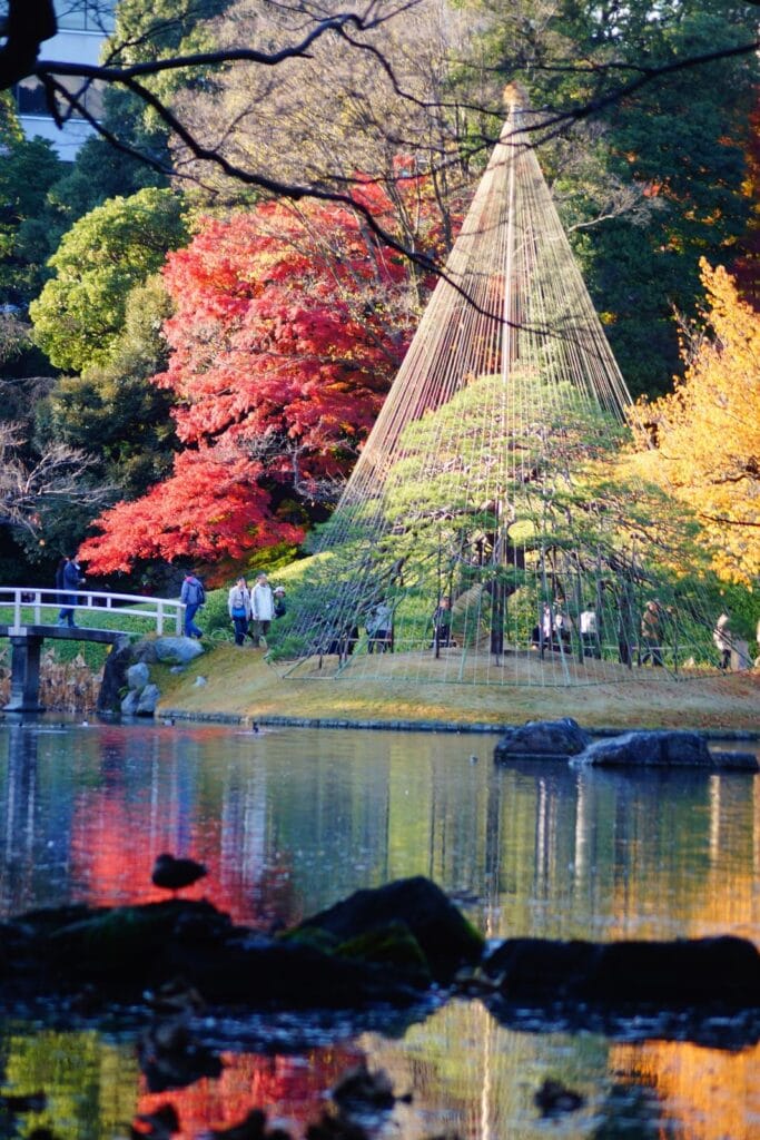 Koishikawa Korakuen Autums Foliage