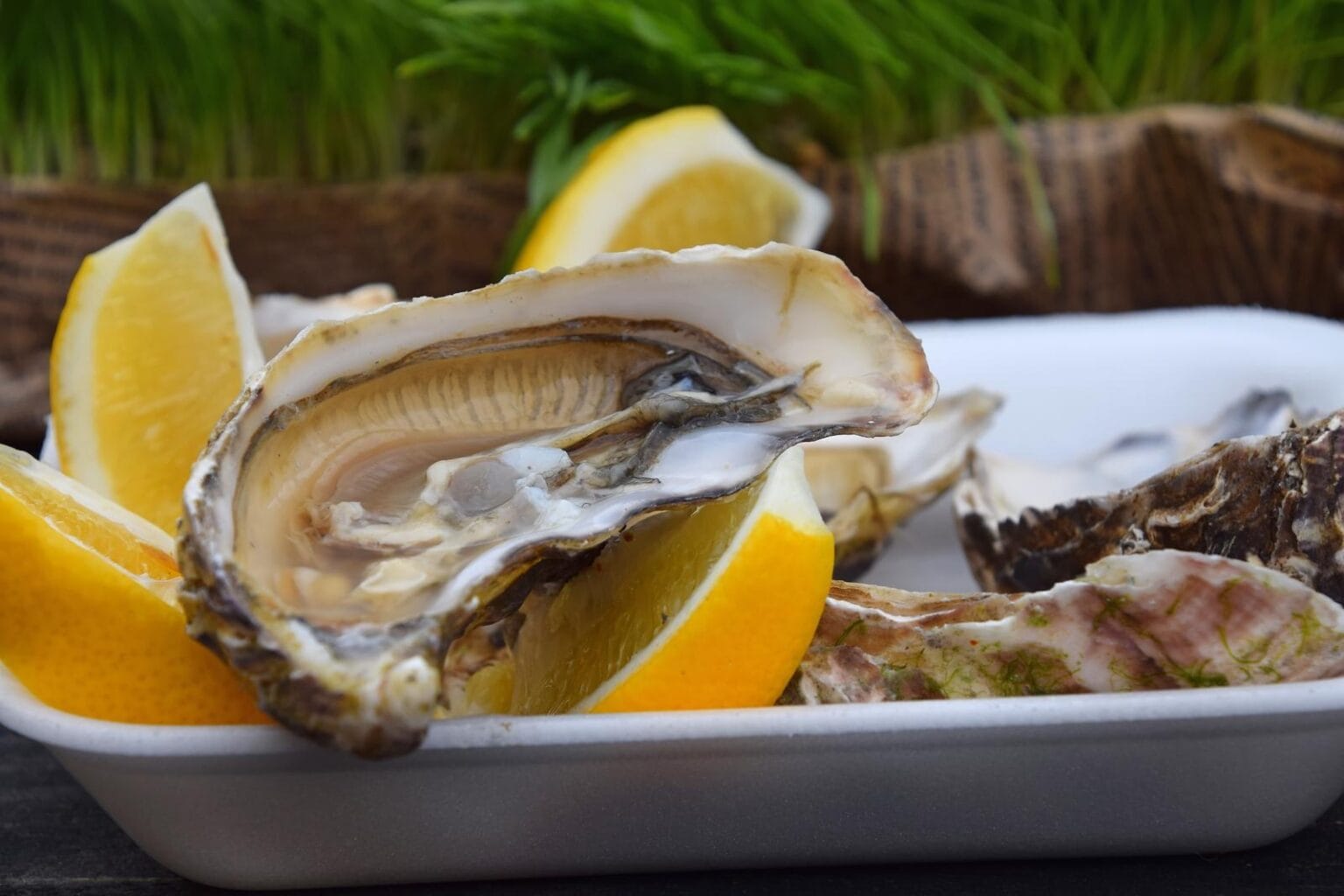 7 Must-Try Local Foods Of The Chugoku Region