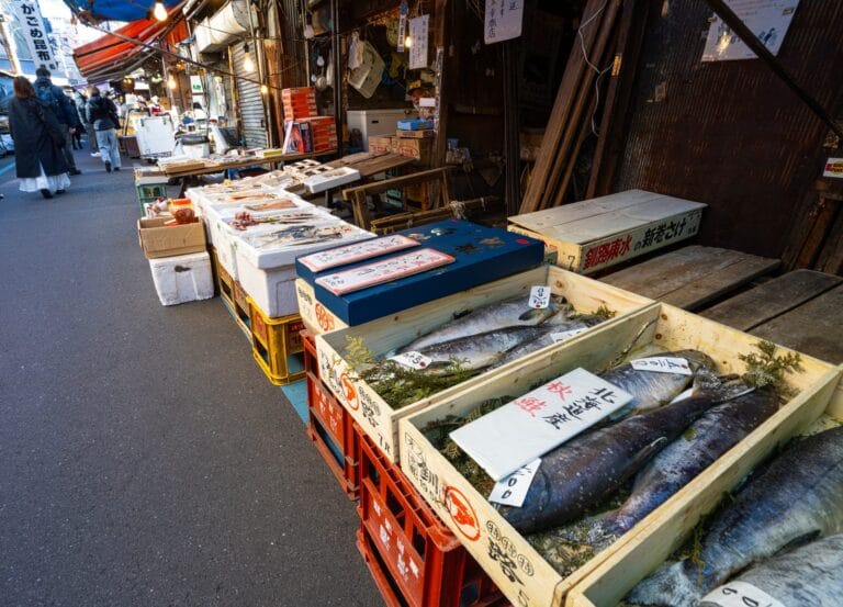 Tsukiji Market Guide: 5 Essential Tips for Exploring