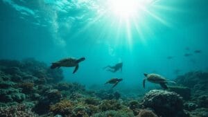 okinawa thrilling water adventures