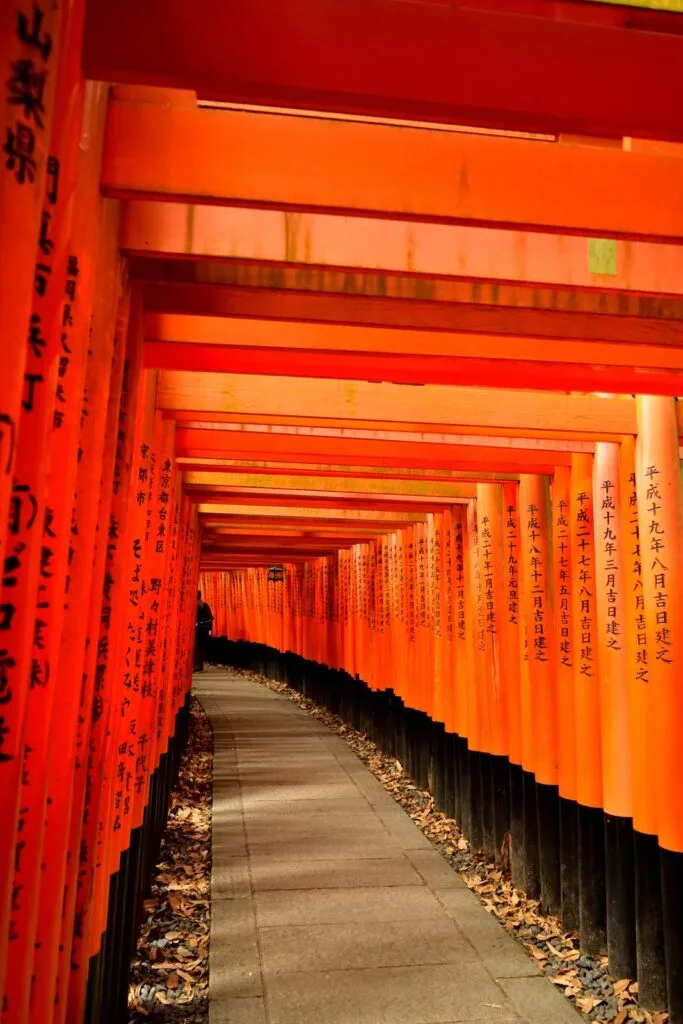 torii in the Fushimi Inari shrine