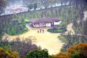 10 Free Attractions to Discover in Osaka