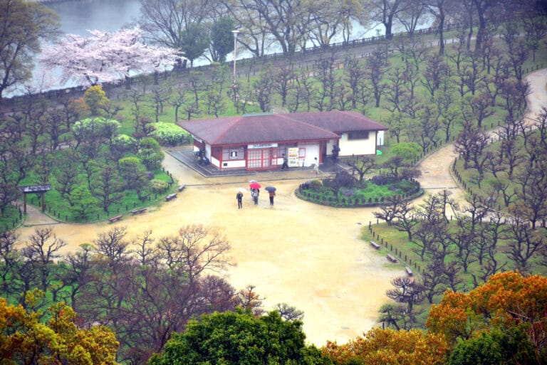 10 Free Attractions to Discover in Osaka