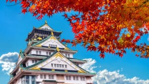 6 Must-Know Tips for Visiting Osaka Castle