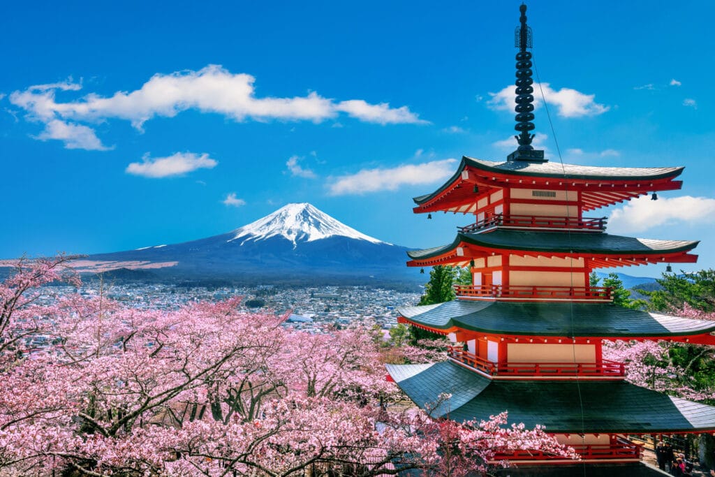 Cherry blossoms in spring, Chureito pagoda and Fuji mountain in Japan