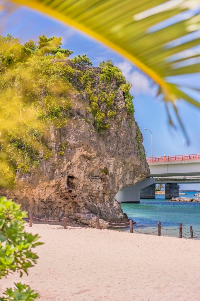 Palm tree on Naminoue beach in Okinawa Prefecture, Japan