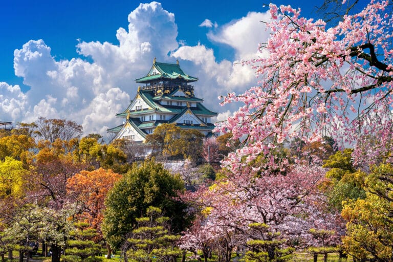 Top 5 Osaka Sakura Spots for Stunning Cherry Blossom Views