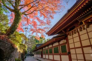 Day Trip to Dazaifu Shrine: Culture, Eats, and Scenery