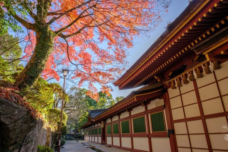 Day Trip to Dazaifu Shrine: Culture, Eats, and Scenery