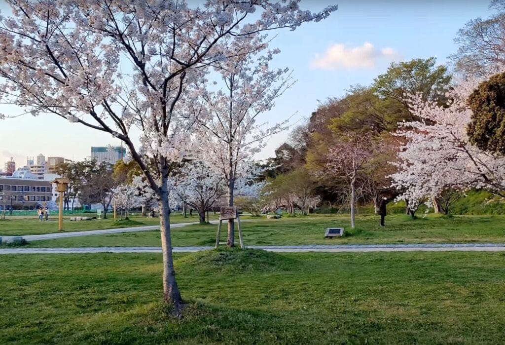 Ohori Park in a golden glow