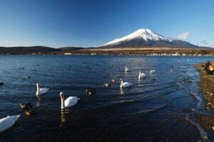 Top 10 Family-Friendly Activities Around Mount Fuji