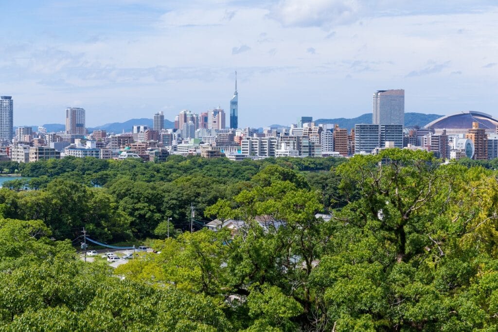 When should you time your visit to Fukuoka Tower